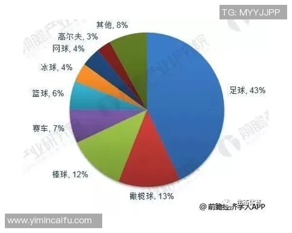 足球明星脸部识别技术的应用与发展探讨及其对体育产业的影响分析 足球明星脸部识别技术的应用与发展探讨及其对体育产业的影响分析