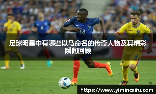 K1体育官方网站